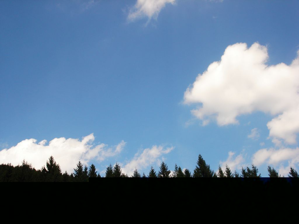 DSC04820