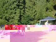 DSC04771