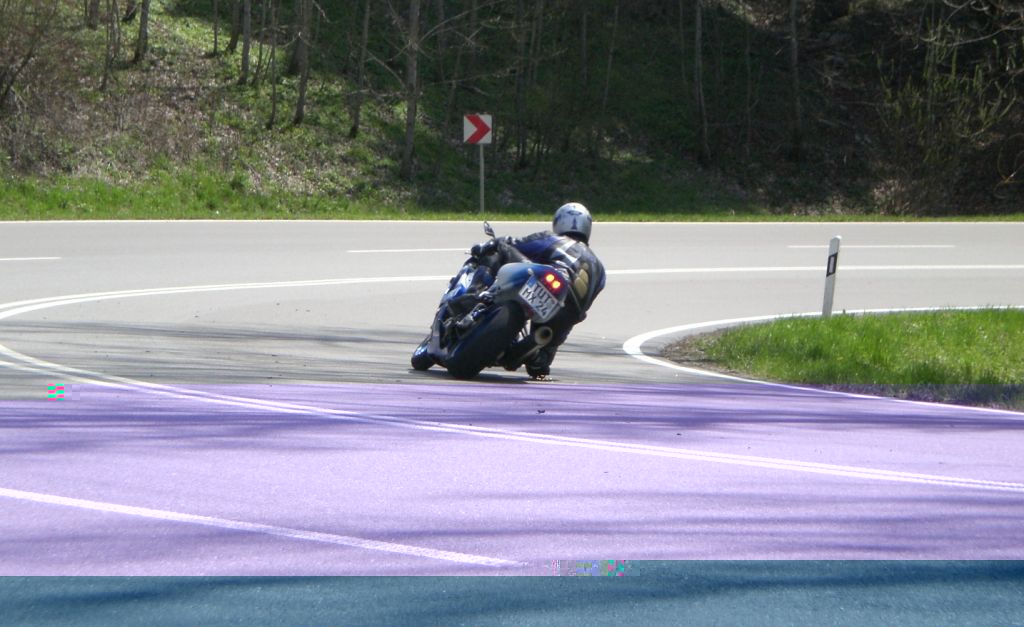 Randen 2008