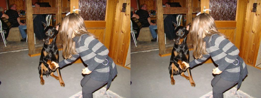 Новый 20010 год