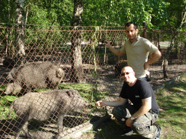 Ukraina 2009